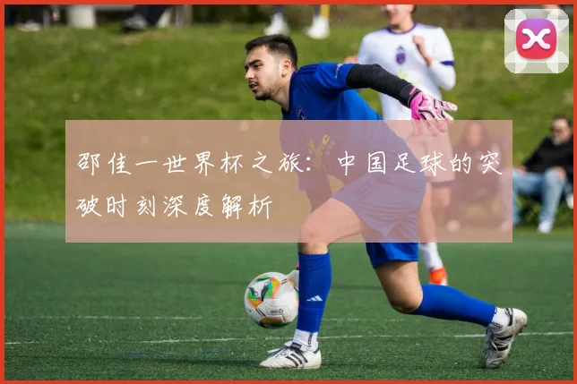 邵佳一世界杯之旅：中国足球的突破时刻深度解析